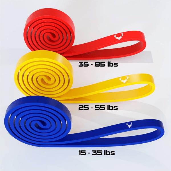 Premium Resistance Bands