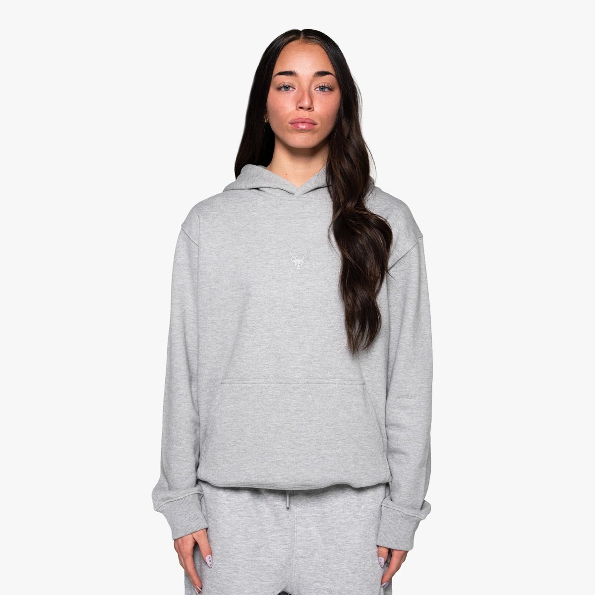 Image of Heavyweight Hoodie - Color - Gray - Gray Logo - 10 / 24