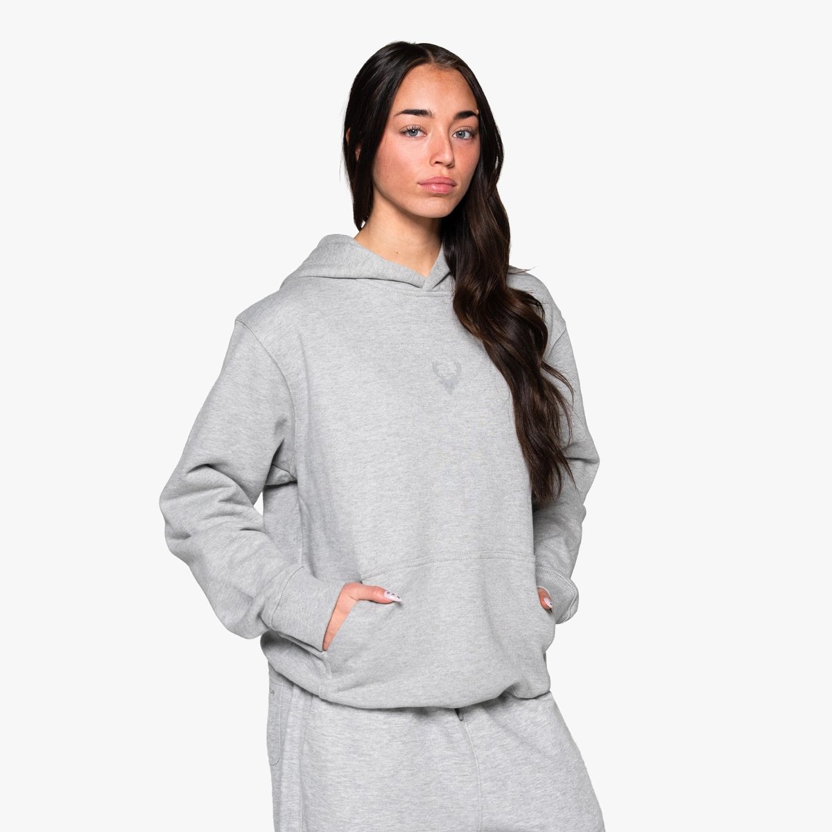 Image of Heavyweight Hoodie - Color - Gray - Gray Logo - 9 / 24