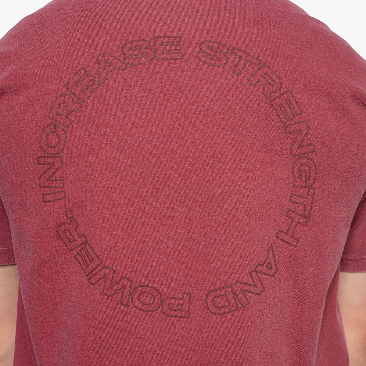 Image of Rise Like a Buck T-Shirt | Last Chance! - Color - Washed Red / Red Logo - 15 / 15