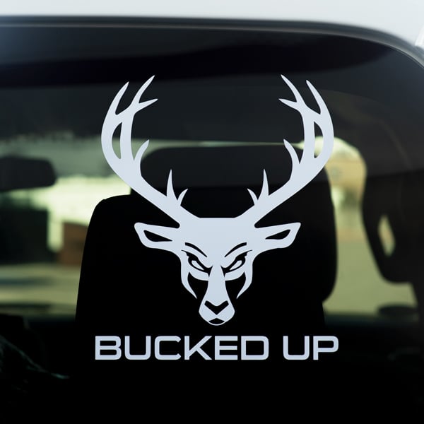 Image of Car Sticker - Color - White - 2 / 2