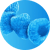 Flavor - Blue Raz