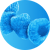 Flavor - Blue Raz