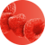 Flavor - Raspberry Blitz