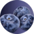 Flavor - Boo Berry