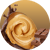 Flavor - Chocolate Peanut Butter